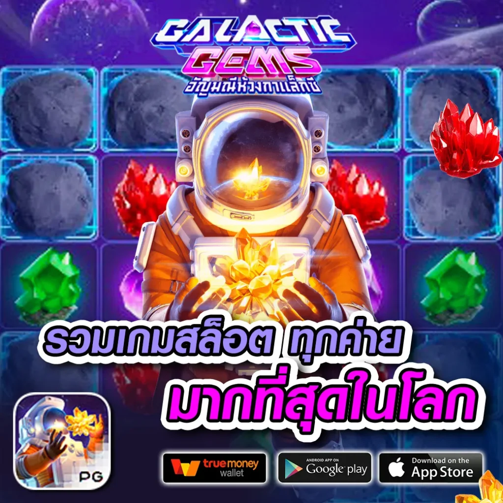 ฝาก-ถอน dna-24